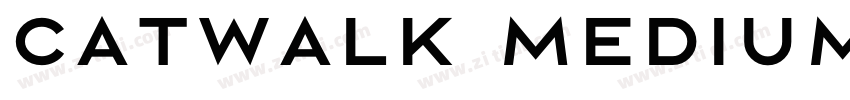 Catwalk Medium字体转换